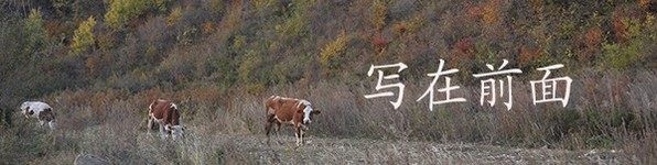 дǰ
